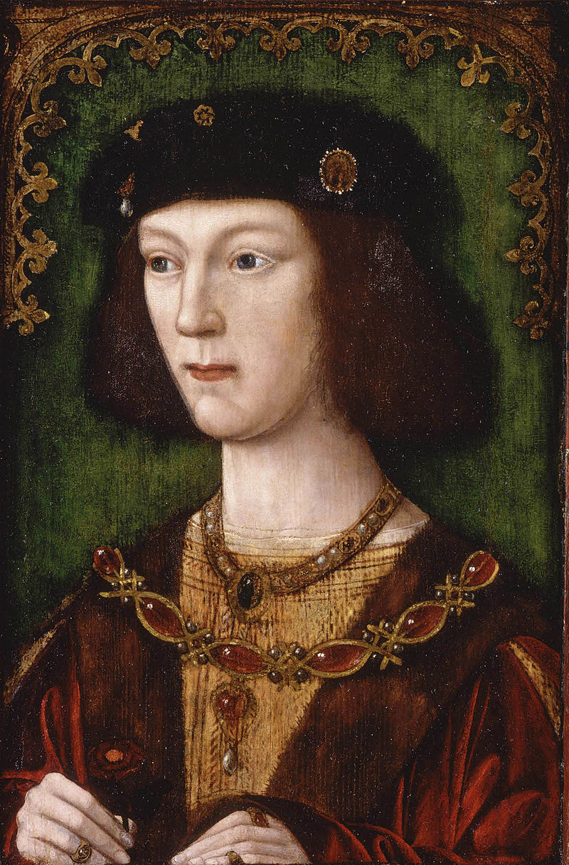 Gallery of Henry VIII