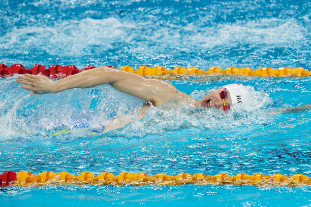 Gallery of Sun Yang