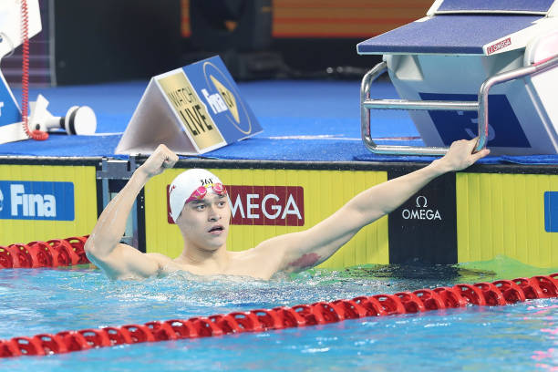 Gallery of Sun Yang