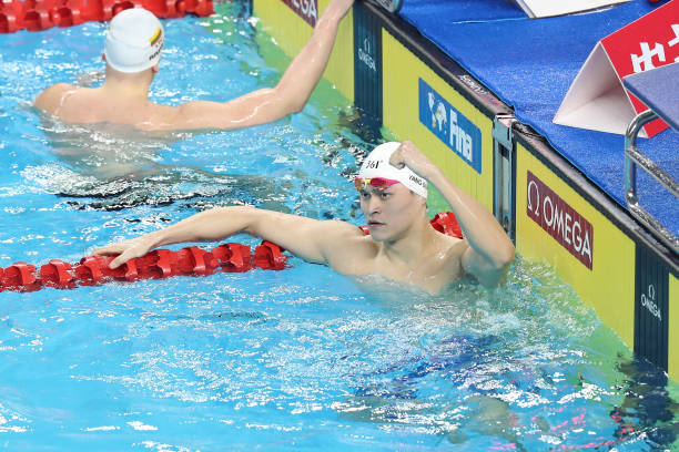 Gallery of Sun Yang