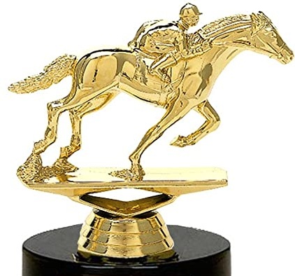 Gold Derby Award