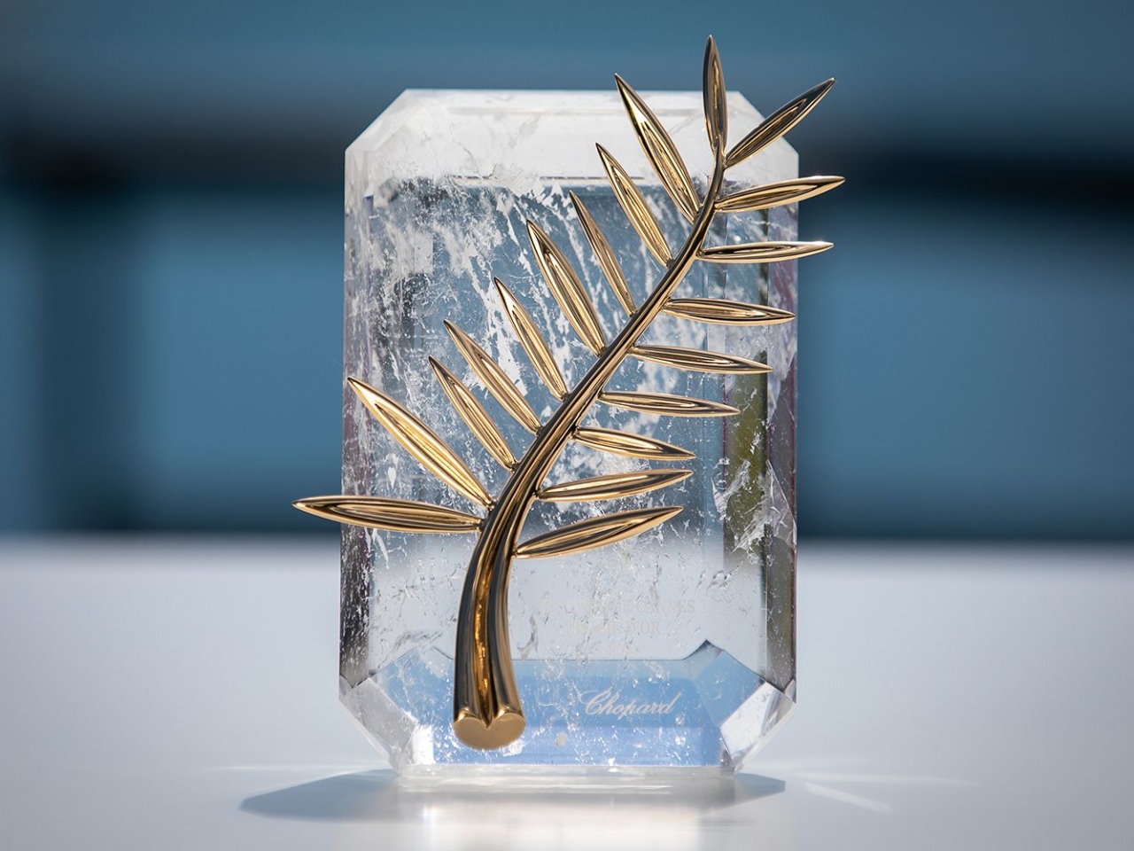 Cannes Film Festival Award