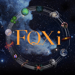 Foundational Questions Institute