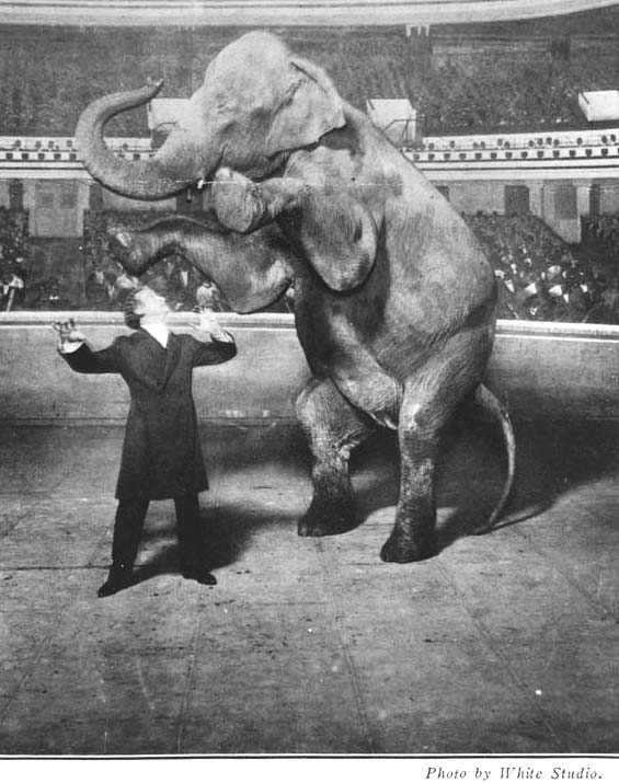 Career period of Harry Houdini in career