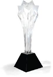 Critics Choice Award