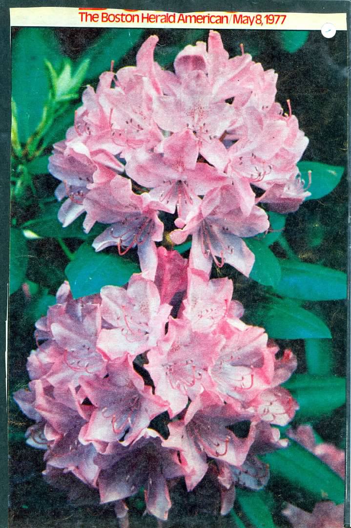 Gallery of James Comley
