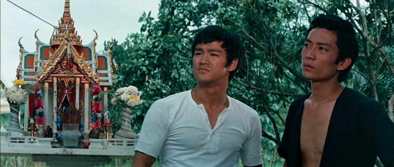 Gallery of Bruce Lee