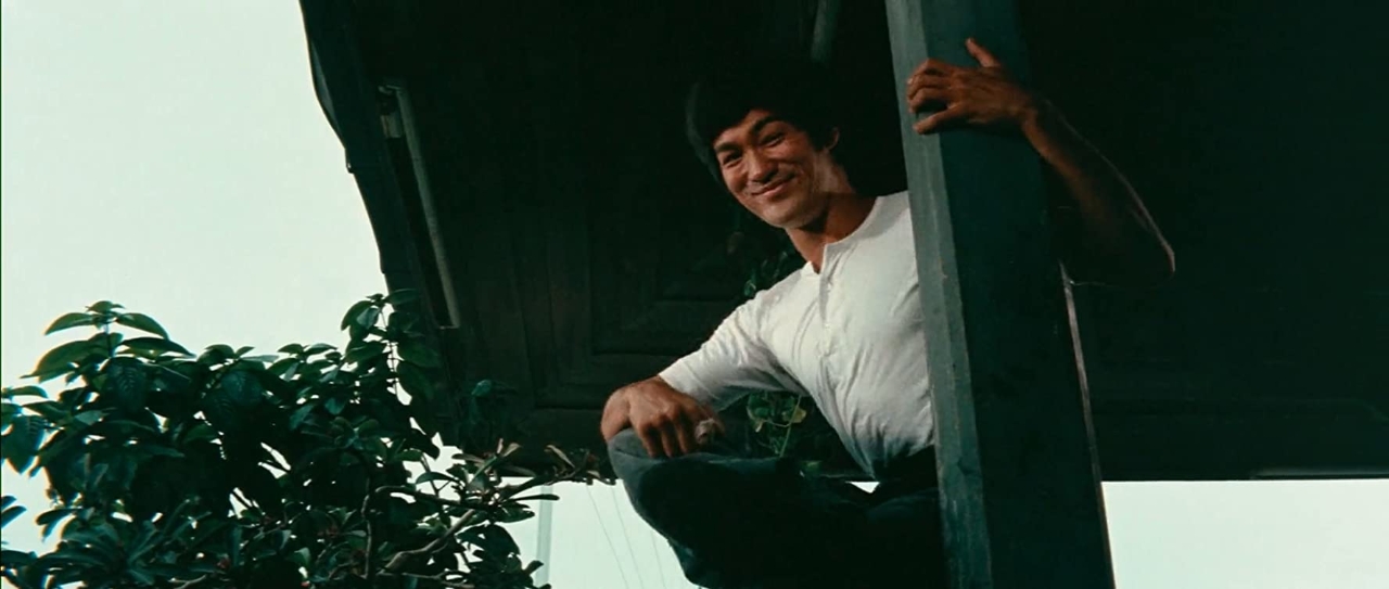 Gallery of Bruce Lee