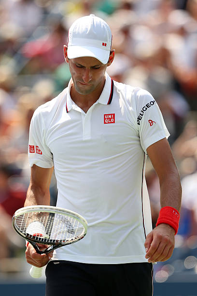 Gallery of Novak Djokovic