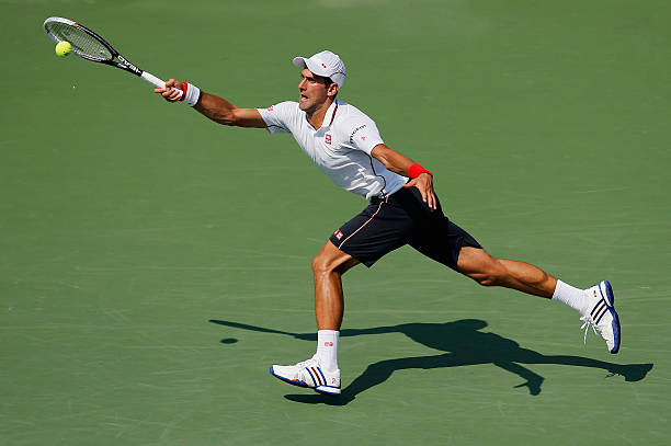 Gallery of Novak Djokovic