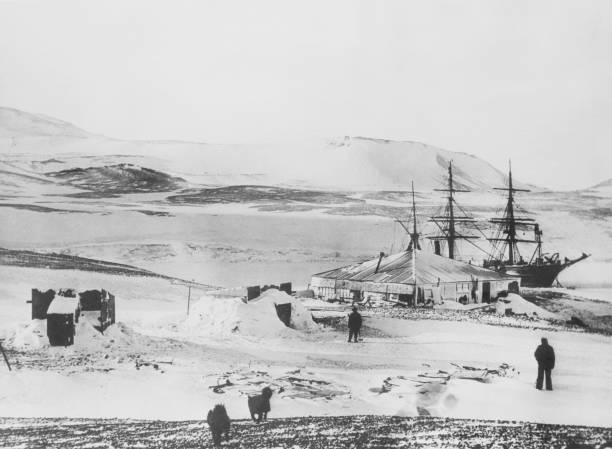 Gallery of Robert Scott