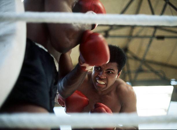 Gallery of Muhammad Ali
