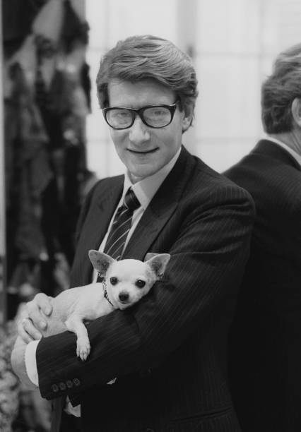 Gallery of Yves Saint Laurent