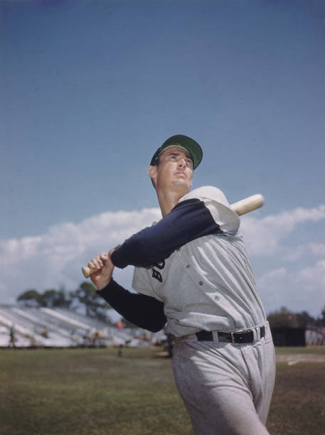 Gallery of Ted Williams