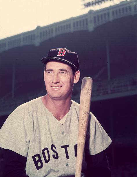 Gallery of Ted Williams