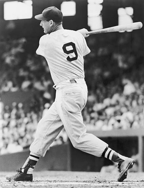 Gallery of Ted Williams