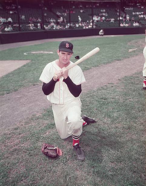 Gallery of Ted Williams