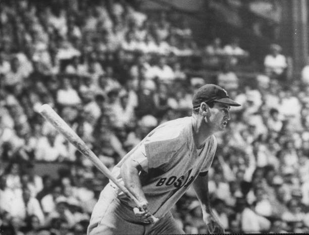 Gallery of Ted Williams