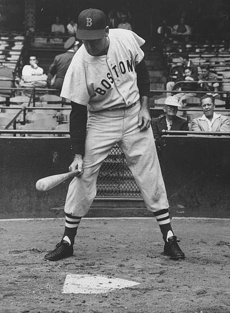 Gallery of Ted Williams