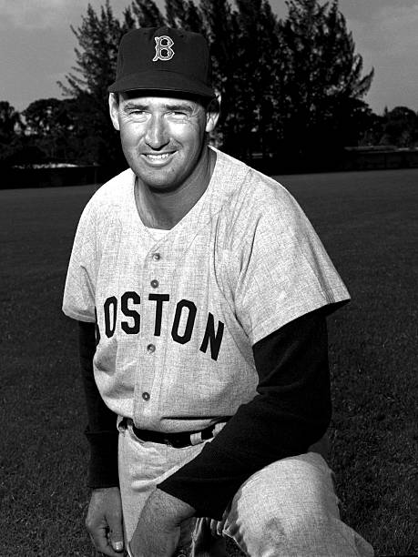 Gallery of Ted Williams