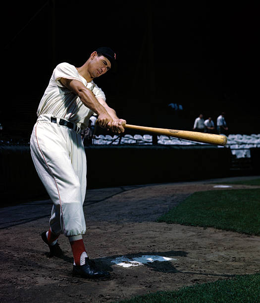 Gallery of Ted Williams