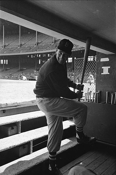 Gallery of Ted Williams