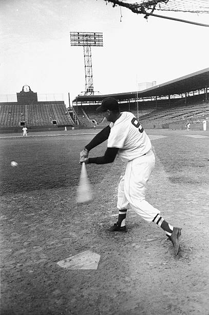 Gallery of Ted Williams