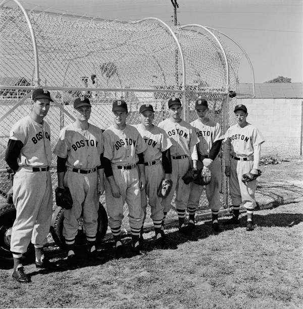 Gallery of Ted Williams