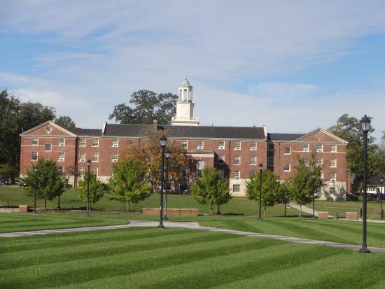 Education period of Robert Cummins in Miami University