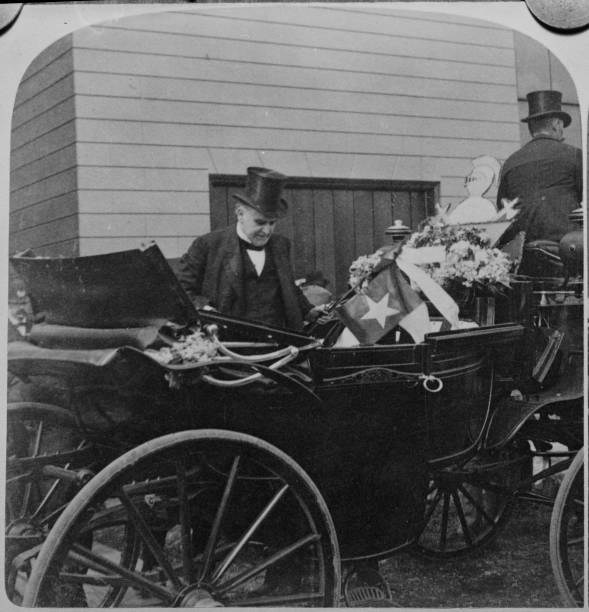 Gallery of William McKinley
