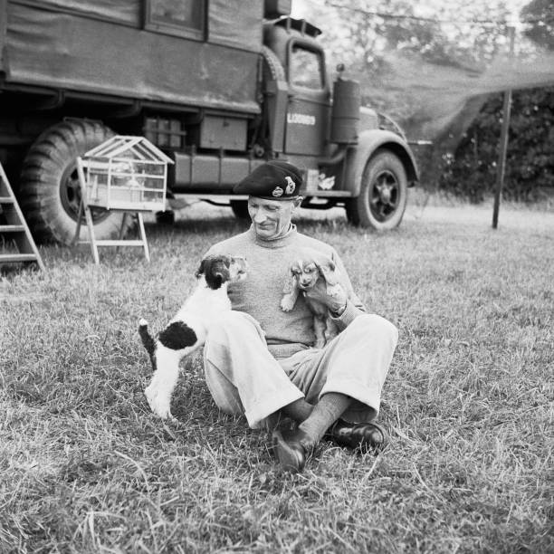 Gallery of Bernard Montgomery