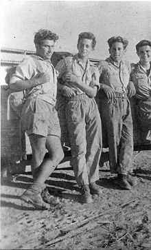 Gallery of Moshe Shamir
