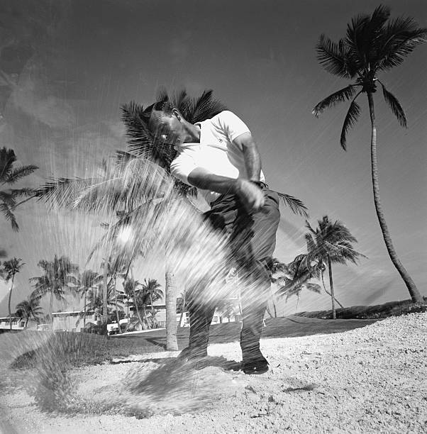 Gallery of Arnold Palmer