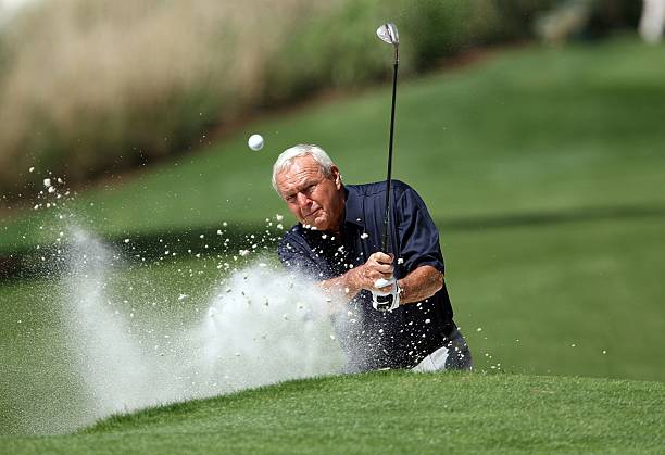 Gallery of Arnold Palmer