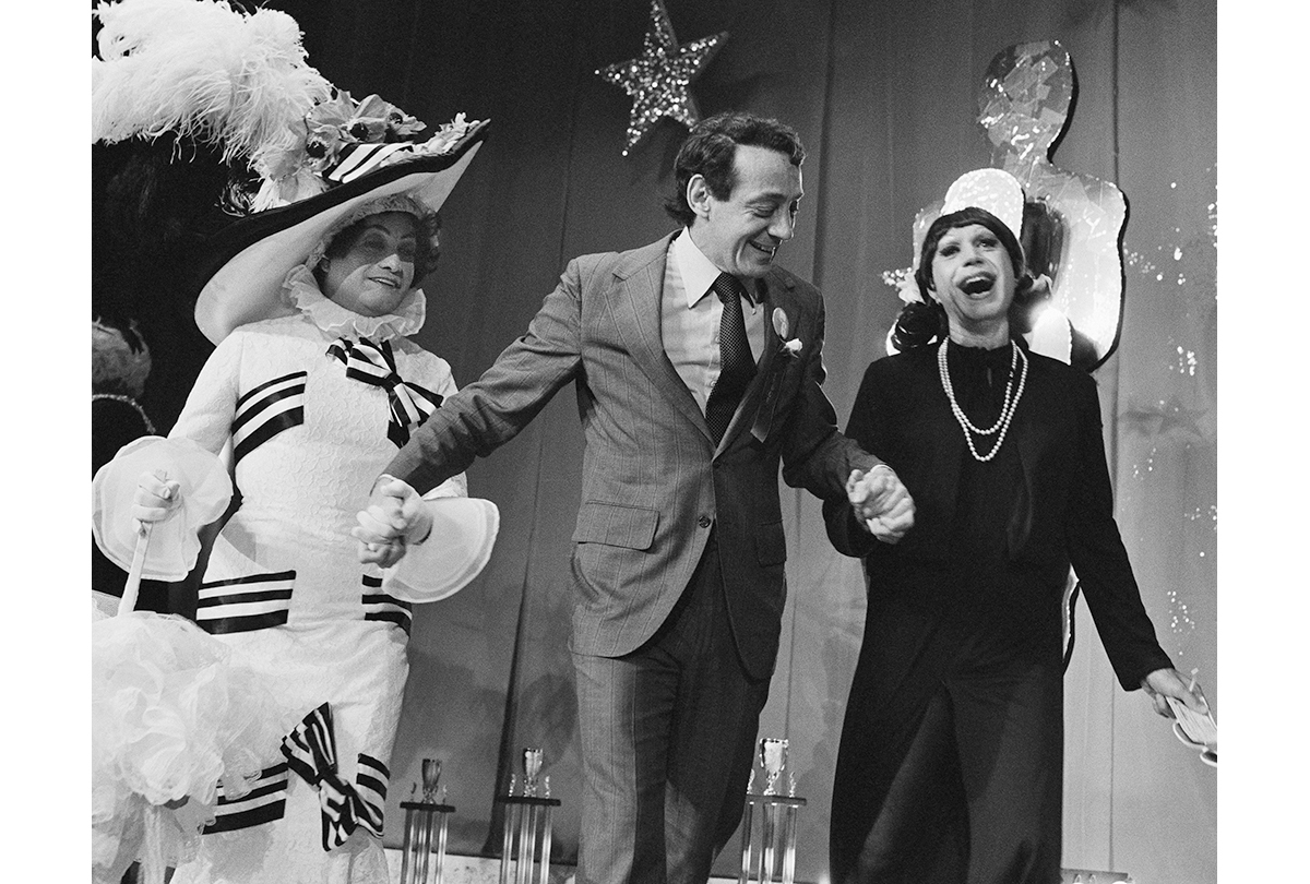 Career period of Harvey Milk in career