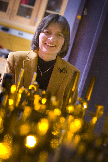 Gallery of Lene Hau