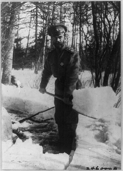 Career period of Nicholas II in career