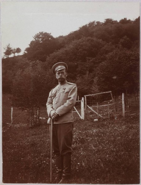 Career period of Nicholas II in career