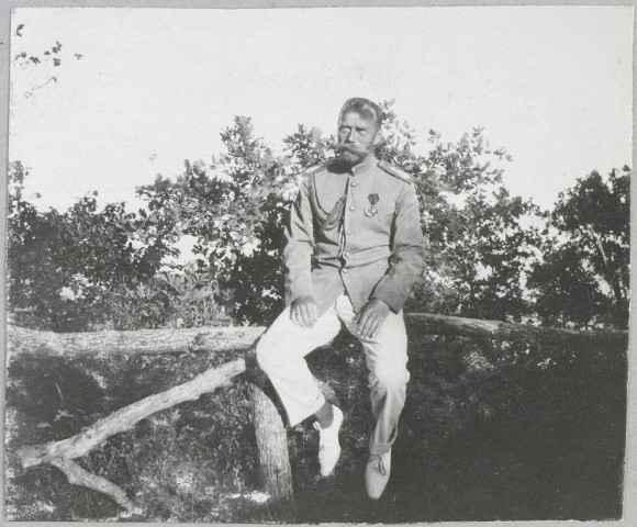 Career period of Nicholas II in career