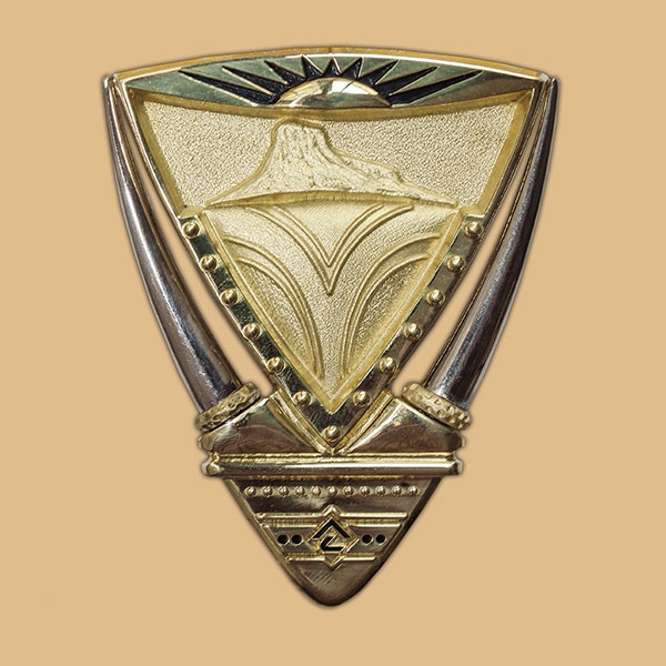 The Order of Luthuli in Silver