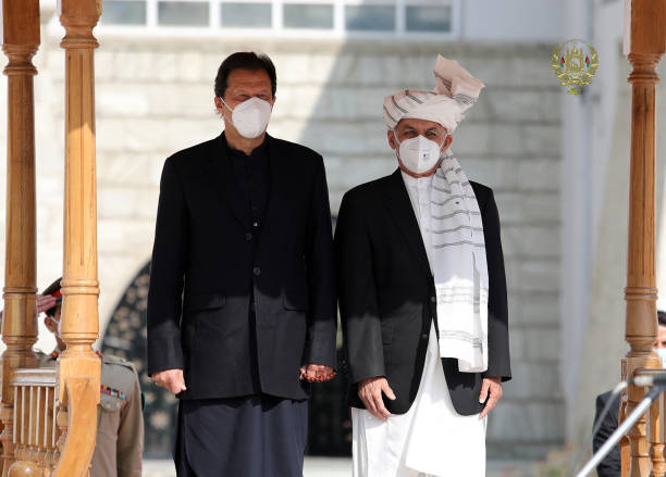 Gallery of Imran Khan