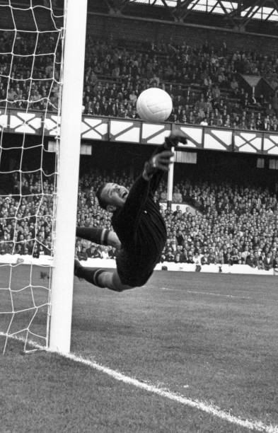 Gallery of Lev Yashin