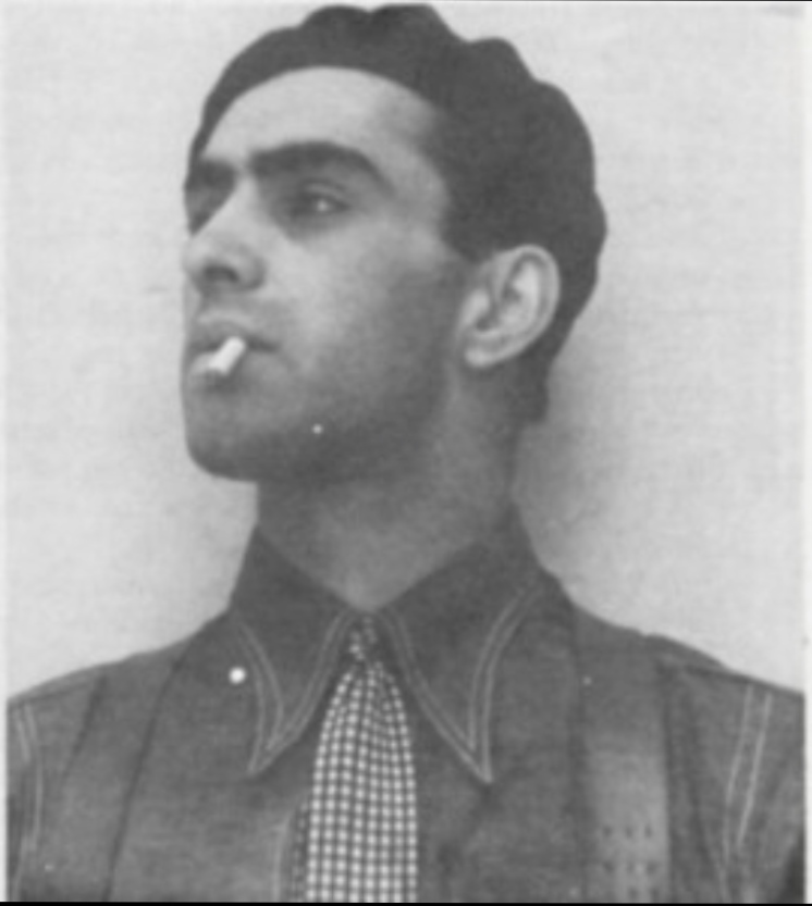 colleague: Julio Bracho Gavilán