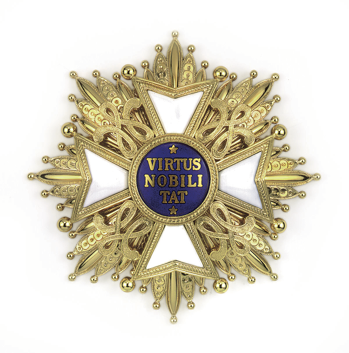 Order of the Netherlands Lion