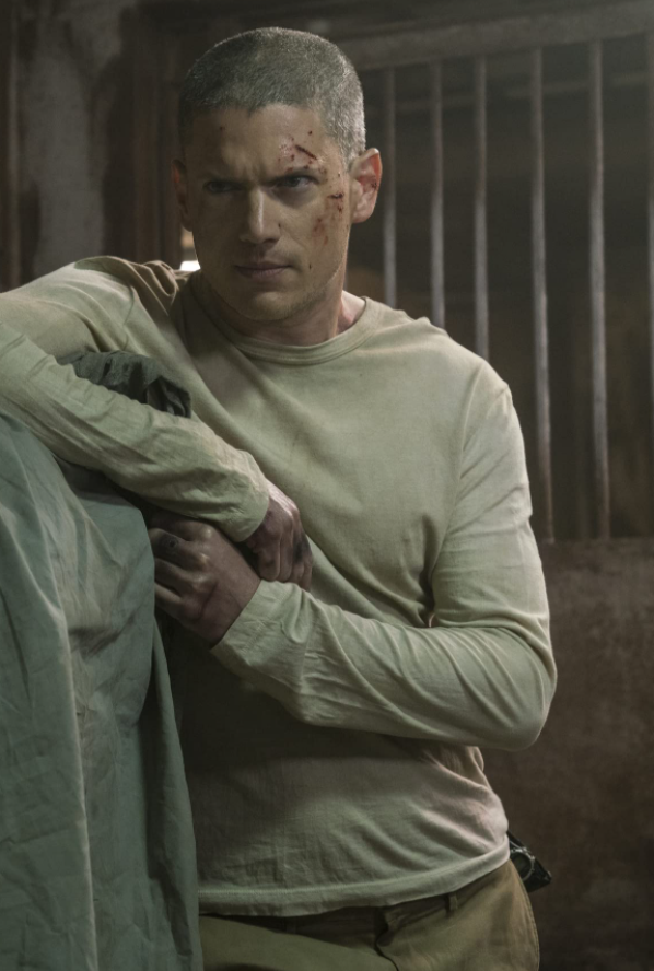 Gallery of Wentworth Miller