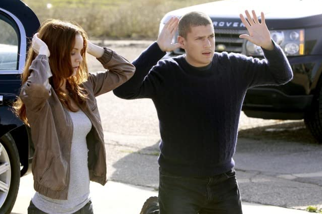Gallery of Wentworth Miller
