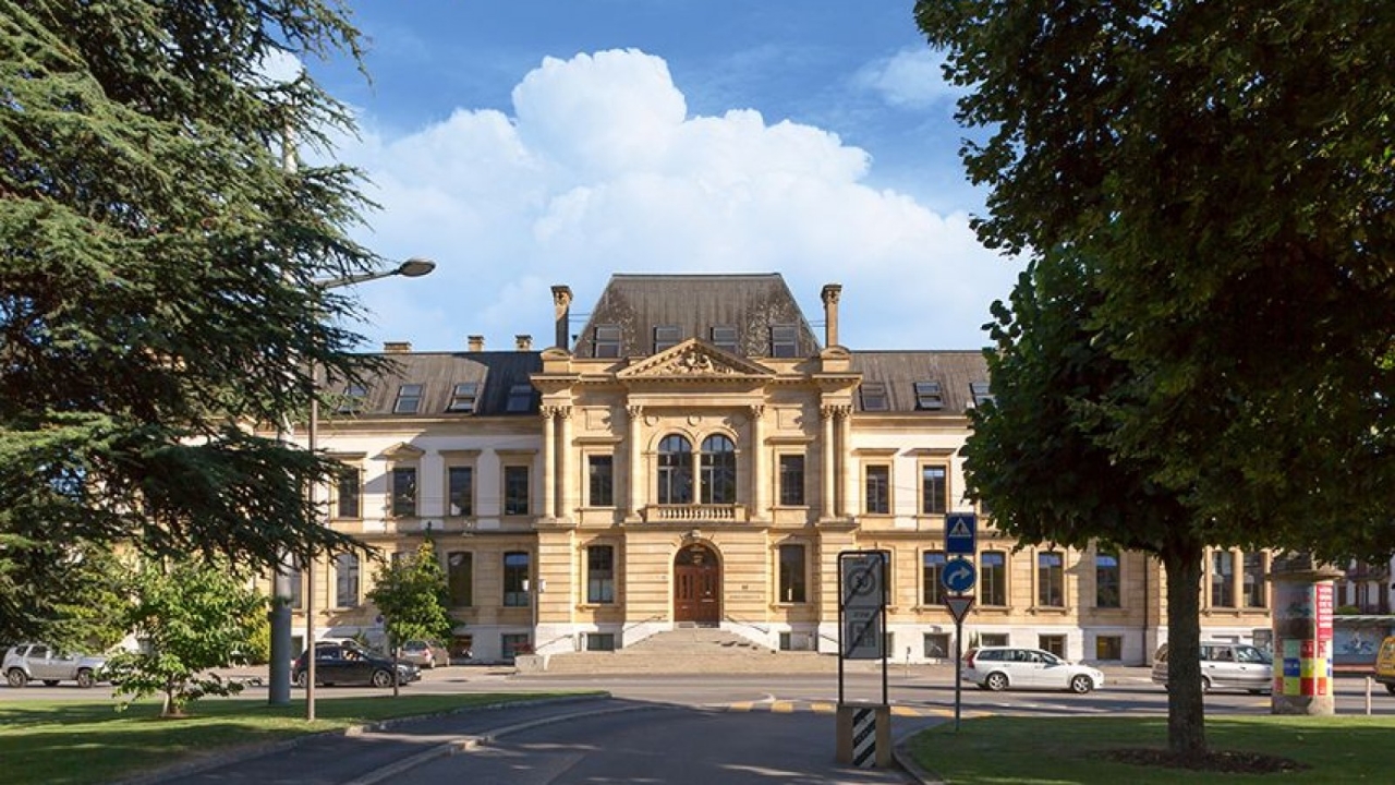 Gallery of Jean Piaget