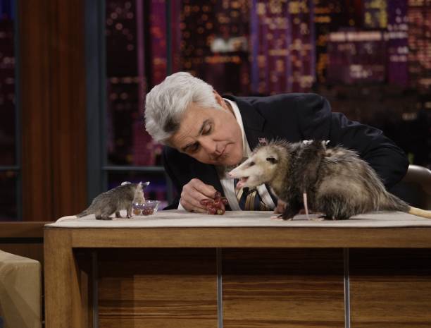 Gallery of Jay Leno