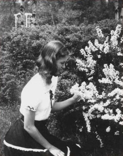 Gallery of Sylvia Plath