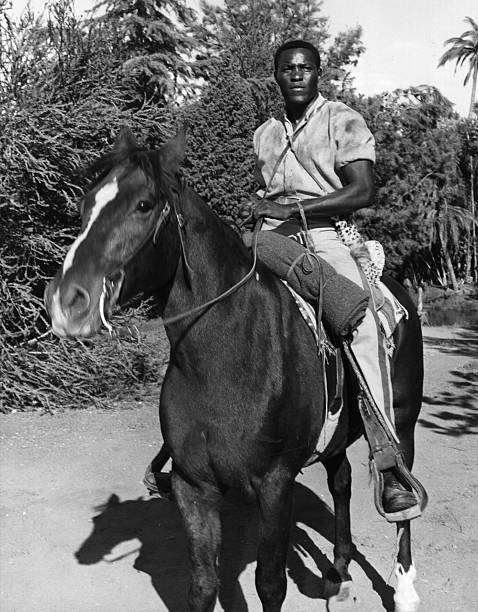 Gallery of Rafer Johnson